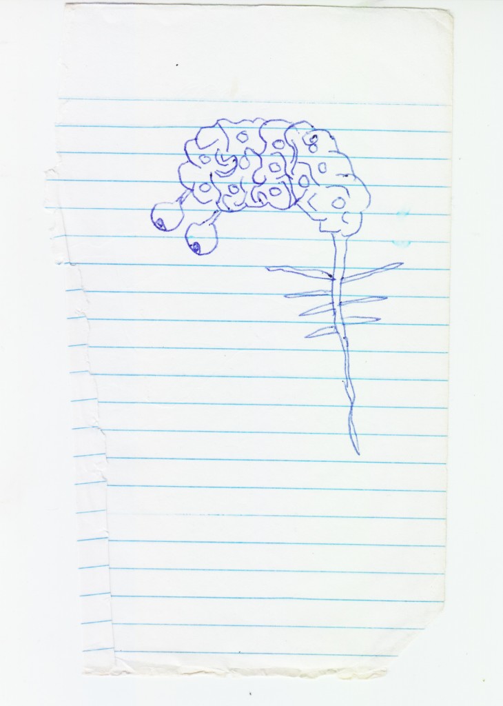 brain